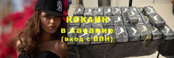 прущие грибы Алзамай