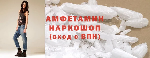 прущие грибы Алзамай