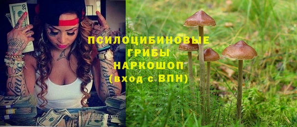 a pvp Алексин