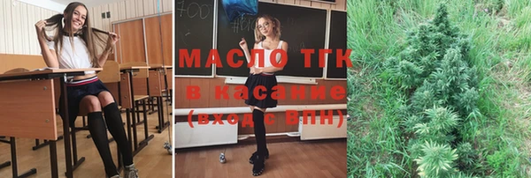 прущие грибы Алзамай