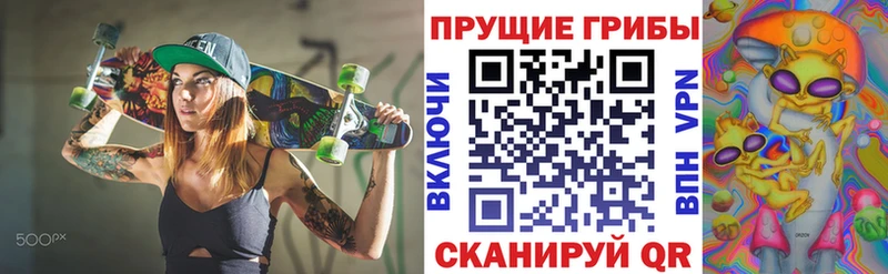 OMG   Киров  Галлюциногенные грибы Magic Shrooms 